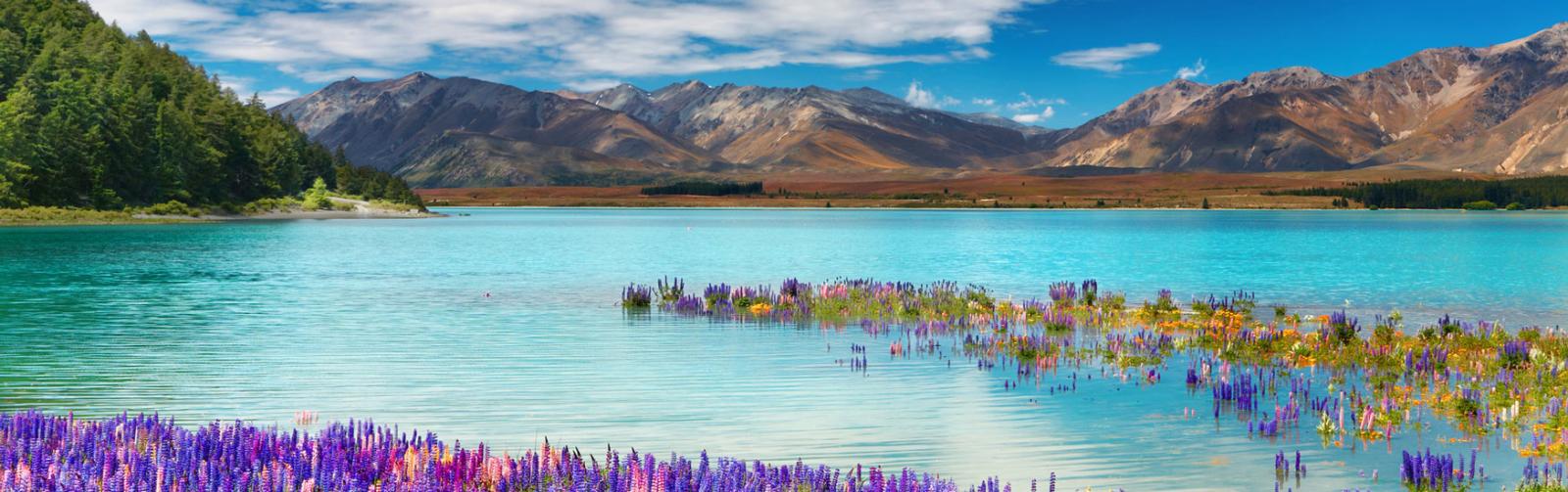 Family Holiday Tekapo
