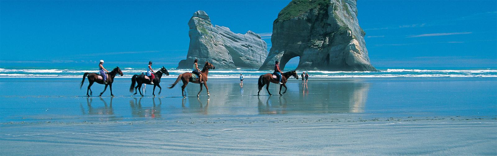 Horseriding at Wharariki Beach