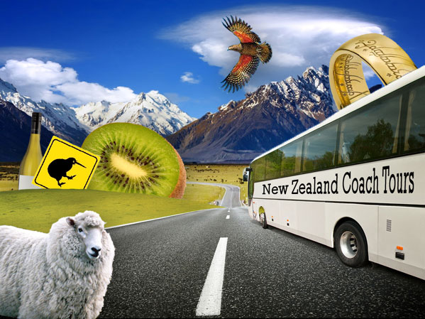 coach travel in new zealand