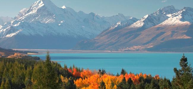 New Zealand Winter