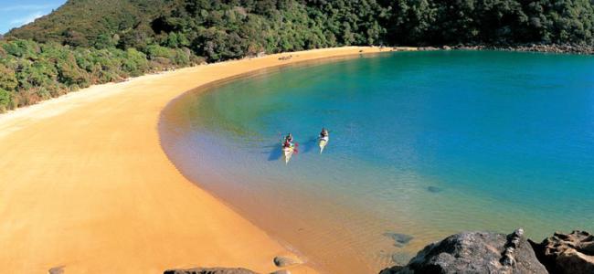 abel tasman