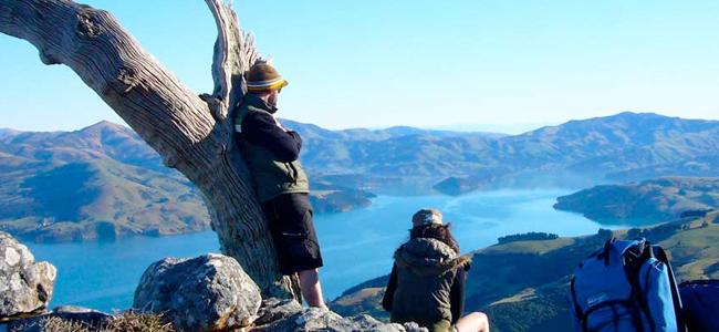 The Banks Peninsula Freedom Walk