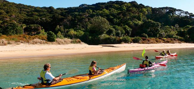 Bay of Islands Kayaking