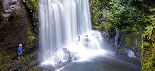 Beautiful Lake Waikaremoana Guided Walk