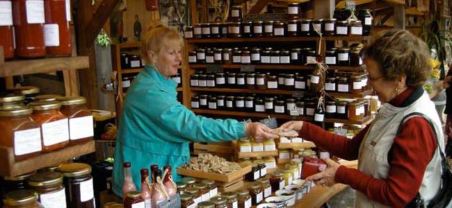 Matakana Village Farmers Market