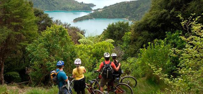 Mountain Biking the Queen Charlotte Track