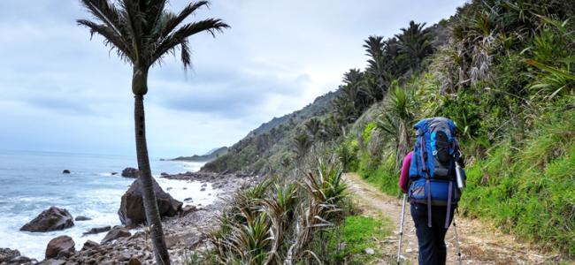 Hiking around the Coast