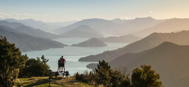 Birds eye view of the Marlborough Sounds