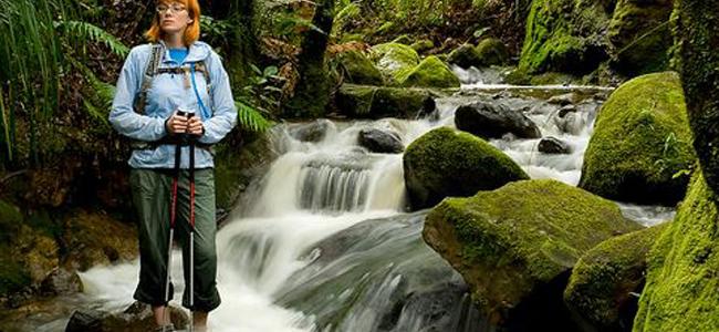 Hiking in New Zealands beautiful South Island.