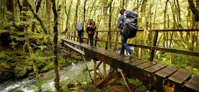 Milford Track Walk, Fiordland New Zealand