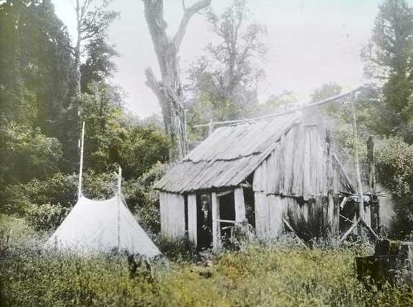 Early days on the hollyford track