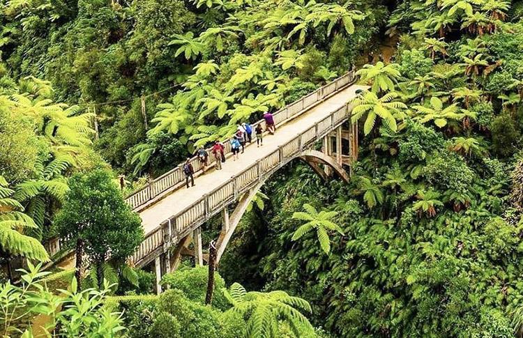 Whanganui National Park