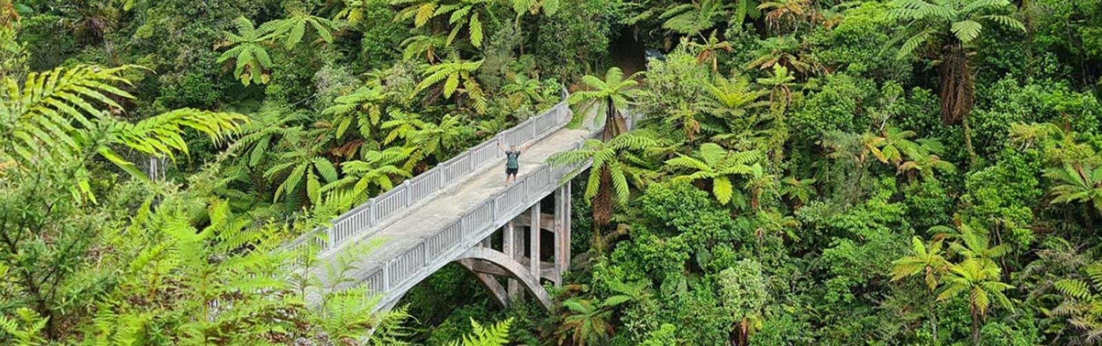 Walking in the Wanganui National Park