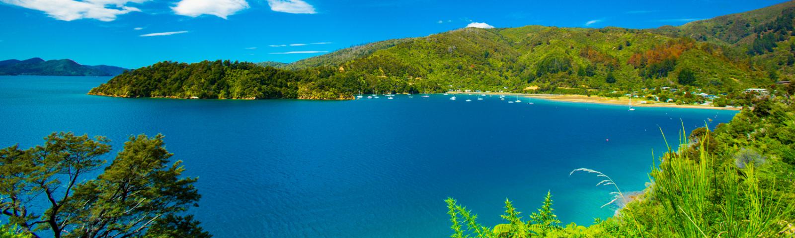 New Zealand's Best Beaches in the Coromandel