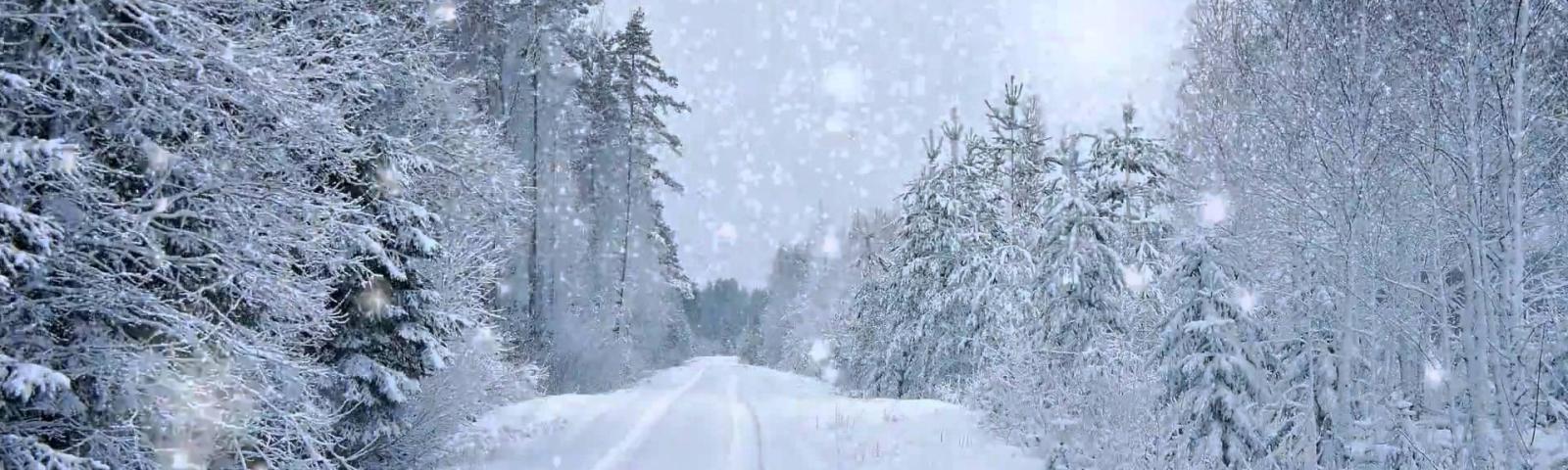 Snow Storm New Zealand