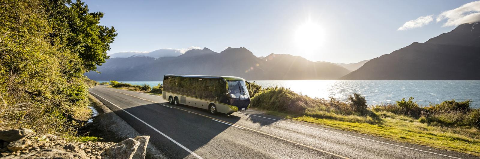 Ultimate Guide to New Zealand Coach Trips: Explore the Land of the Long White Cloud