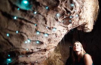 Waitomo caves