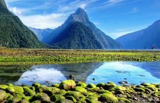 Milford Sound Cruise