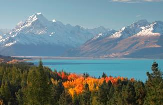 New Zealand Winter