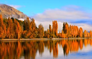 Wanaka