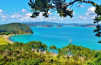 Calm Waters Bay of Islands