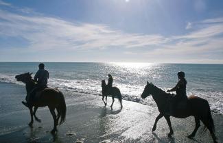 Horse Riding on the Beach