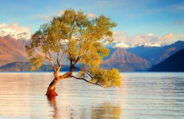 wanaka